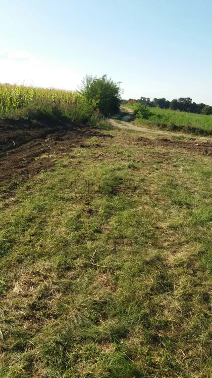 Save Nikolića | 4zida.rs