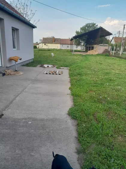 Dušana Vasiljeva 41 | 4zida.rs