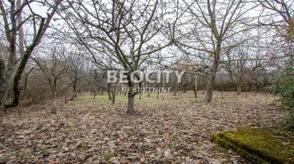 Avalski drum | 4zida.rs