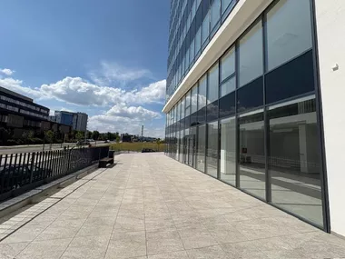 Miodraga Vlajića Šuke