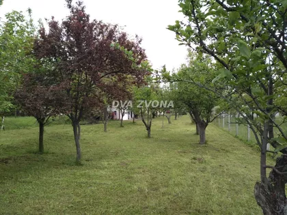 Čortanovci | 4zida.rs