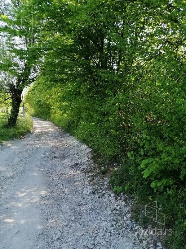 Plac | 4zida