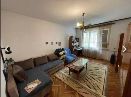 Petra Drapšina | 4zida.rs