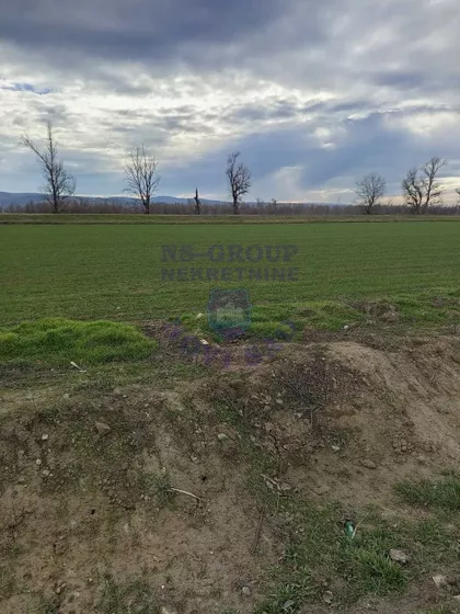 Novi Futog | 4zida.rs