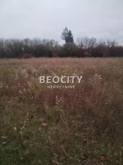 Zarka Bajica | 4zida.rs