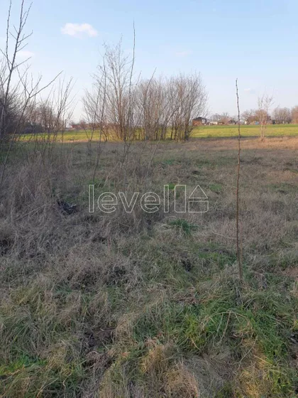 Gunaroš | 4zida.rs