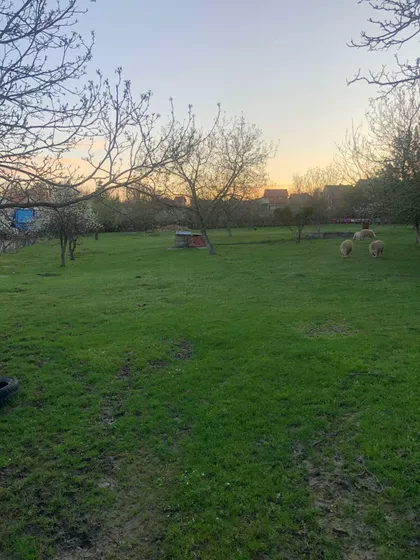 Cara Dušana Nemanjića | 4zida.rs