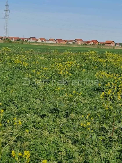 Batajnica | 4zida.rs