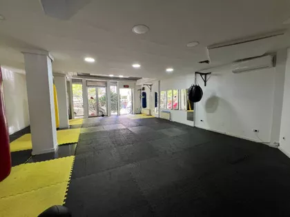 Novi Sad - Centar | 4zida.rs