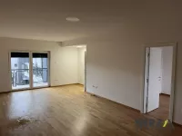 Novi Sad, Gradske lokacije, Salajka | 4zida.rs | 4zida.rs