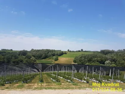 Kujanovac | 4zida.rs