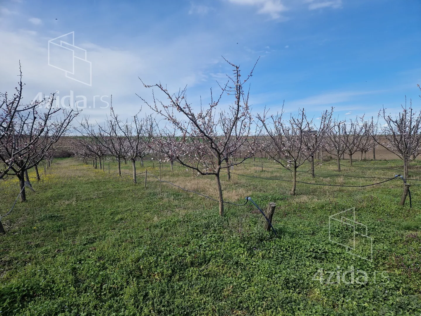 Poljoprivredno zemljište | 4zida