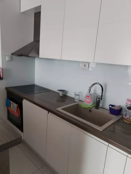 Radoja Domanovica | 4zida.rs