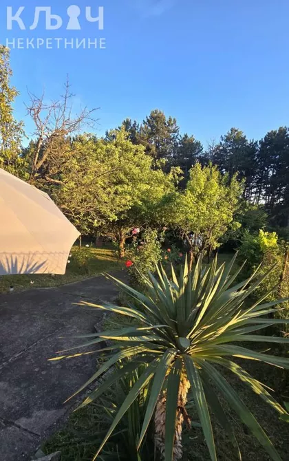 Park Jezero | 4zida.rs