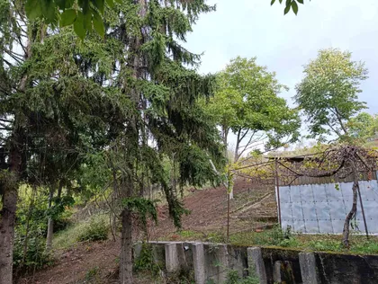 Belilo | 4zida.rs
