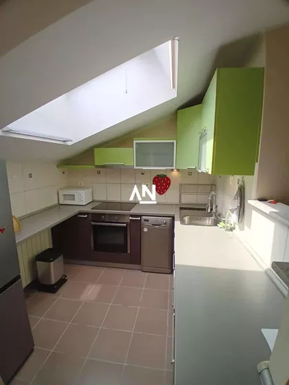 Miće Orlovića | 4zida.rs