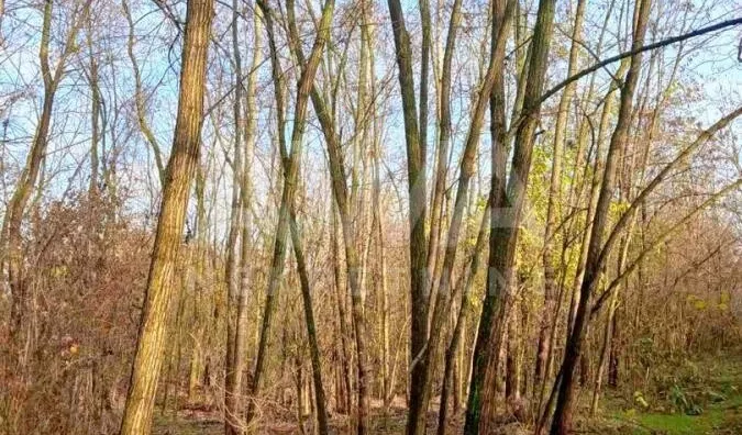 Poljoprivredno zemljište | 4zida