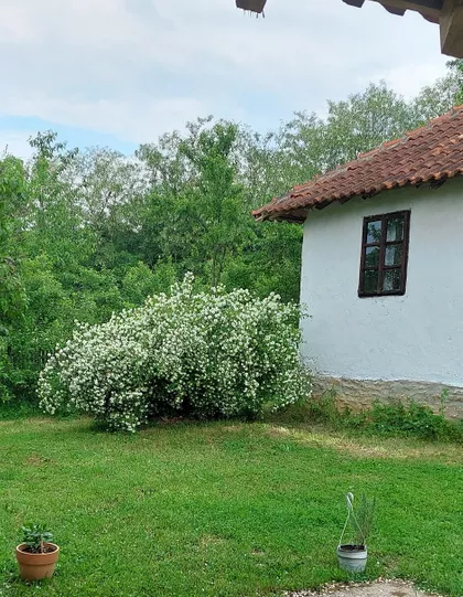 Dositejeva | 4zida.rs