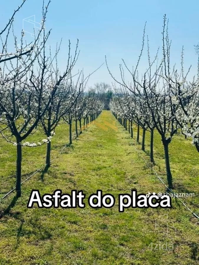 Plac | 4zida