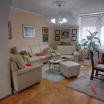 Novo Naselje, Gradske lokacije, Novi Sad | 4zida.rs | 4zida.rs