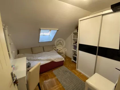 Salajka | 4zida.rs