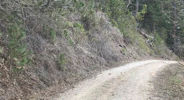 Poljoprivredno zemljište | 4zida