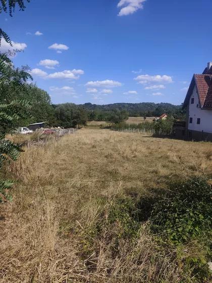 Patrijarha Pavla | 4zida.rs