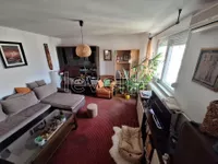 Liman 3, Liman, Gradske lokacije, Novi Sad | 4zida.rs