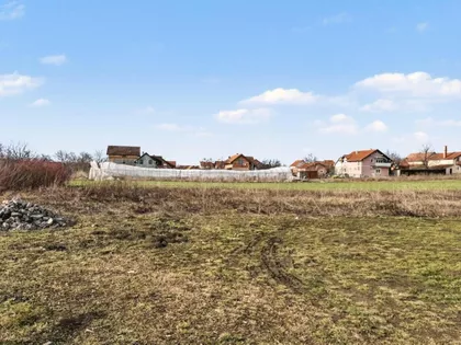 Misa Vinogradi | 4zida.rs