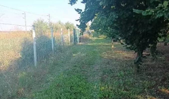 Plac | 4zida