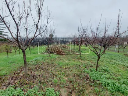 Banoštor | 4zida.rs