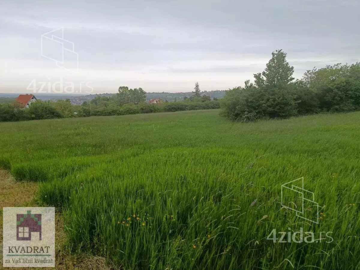 Plac | 4zida