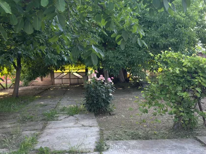 Mačvanska | 4zida.rs