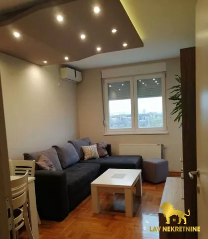 VESELINA MASLEŠE | 4zida.rs