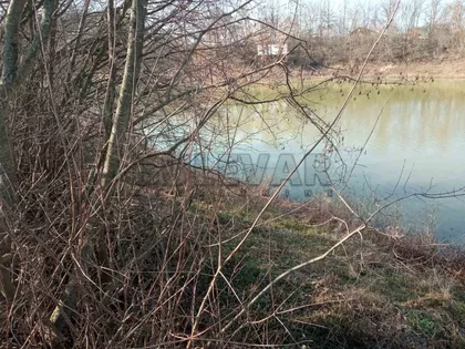 Žunje | 4zida.rs