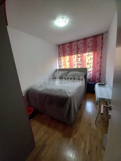 Roze Luksemburg | 4zida.rs
