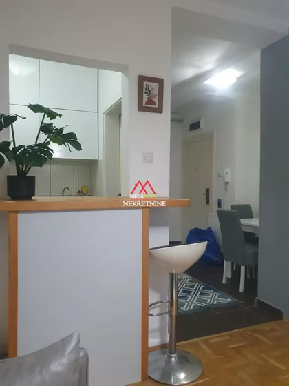 Vojvode Šupljikca | 4zida.rs