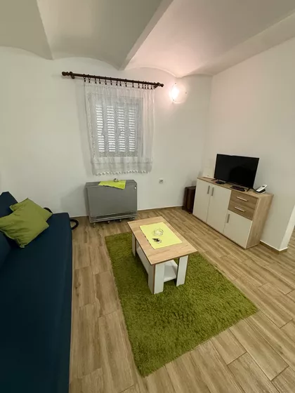 Miše Vujića | 4zida.rs