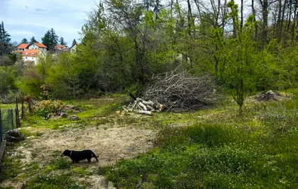 Hajduk-Veljkova 26 | 4zida.rs