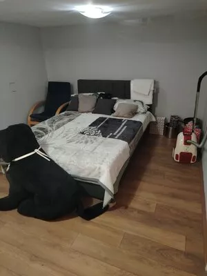 Opština Zrenjanin, Melenci | 4zida.rs