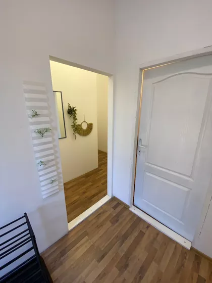 Đorđa Vojnovića | 4zida.rs