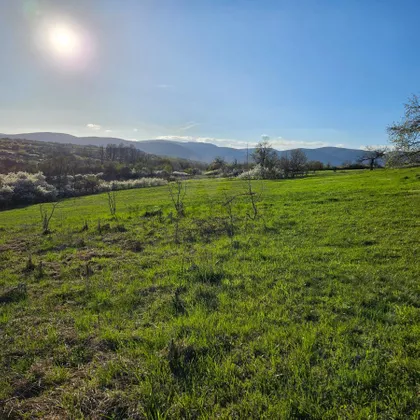 Gradske lokacije | 4zida.rs