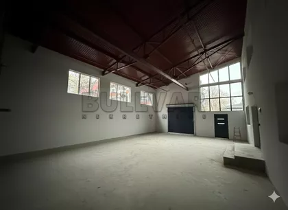 Šumadijska | 4zida.rs