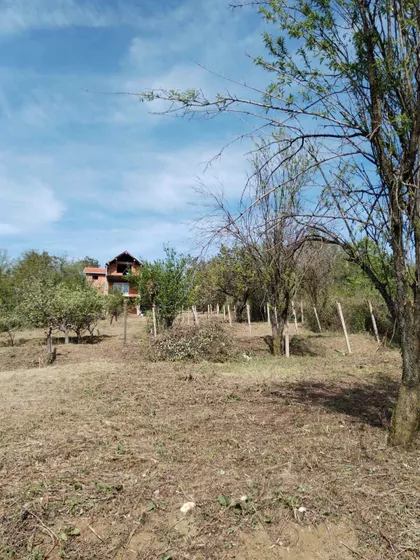 Vuka Karadžića BB | 4zida.rs