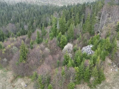 Zlatibor | 4zida.rs