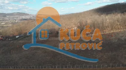 Božurnja | 4zida.rs