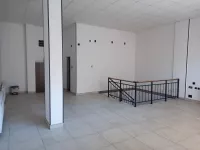 Lokal | 4zida