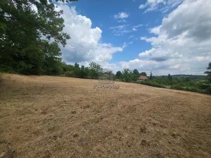 Moše Pijade | 4zida.rs