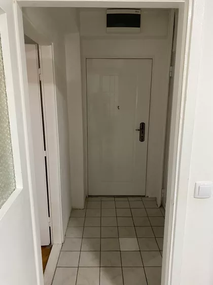 Zmaj Jovina | 4zida.rs