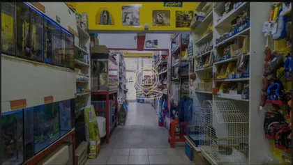 Detelinara | 4zida.rs